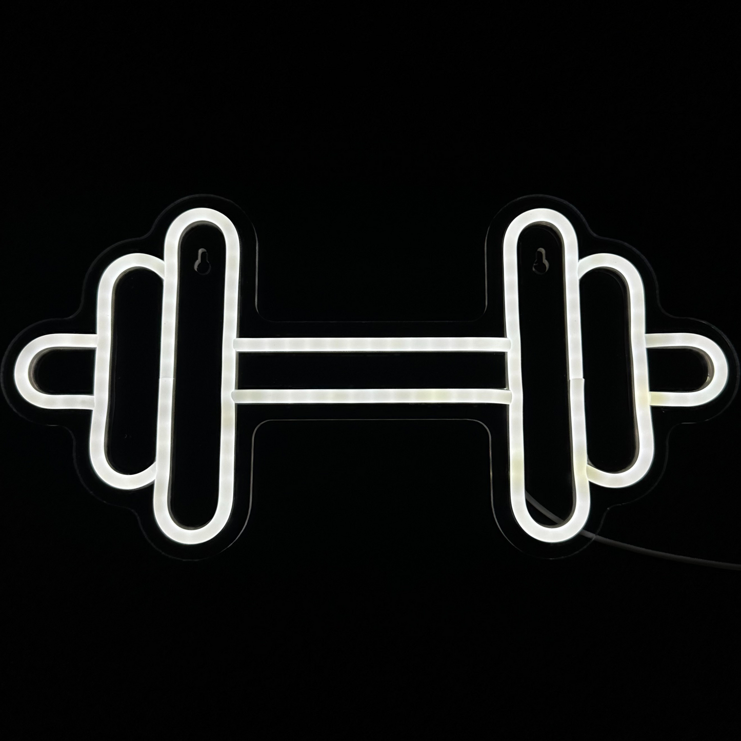 Neon Lamp - Dumbbell - Fitness - Incl. Ophanghaakjes - Neon Sign - 20 x 40 cm